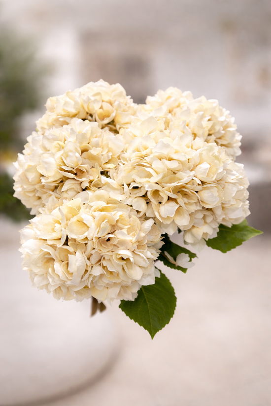 Ivory Luxe Hydrangea Stem