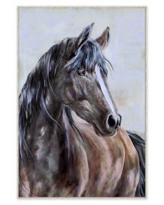 Stallion Canvas