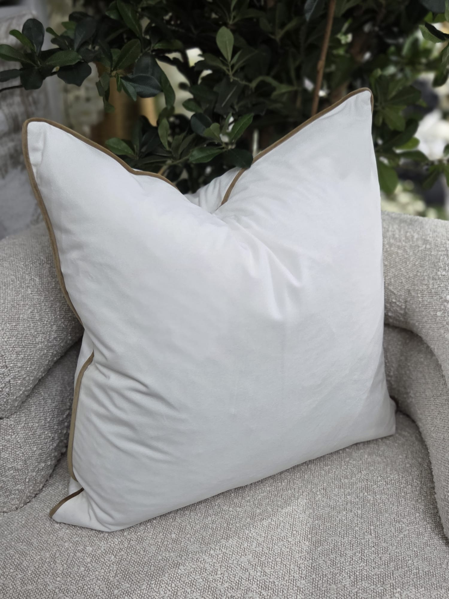 Luxe Gold Piped Cushion