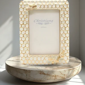 Honey bee frame